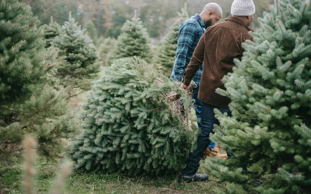 What will Christmas 2021 have in store for the UK industries that rely on it the most?
