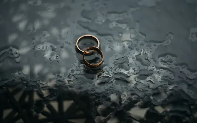 Navigating the Complexities of Business Valuations in Divorce: The Plimsoll Advantage