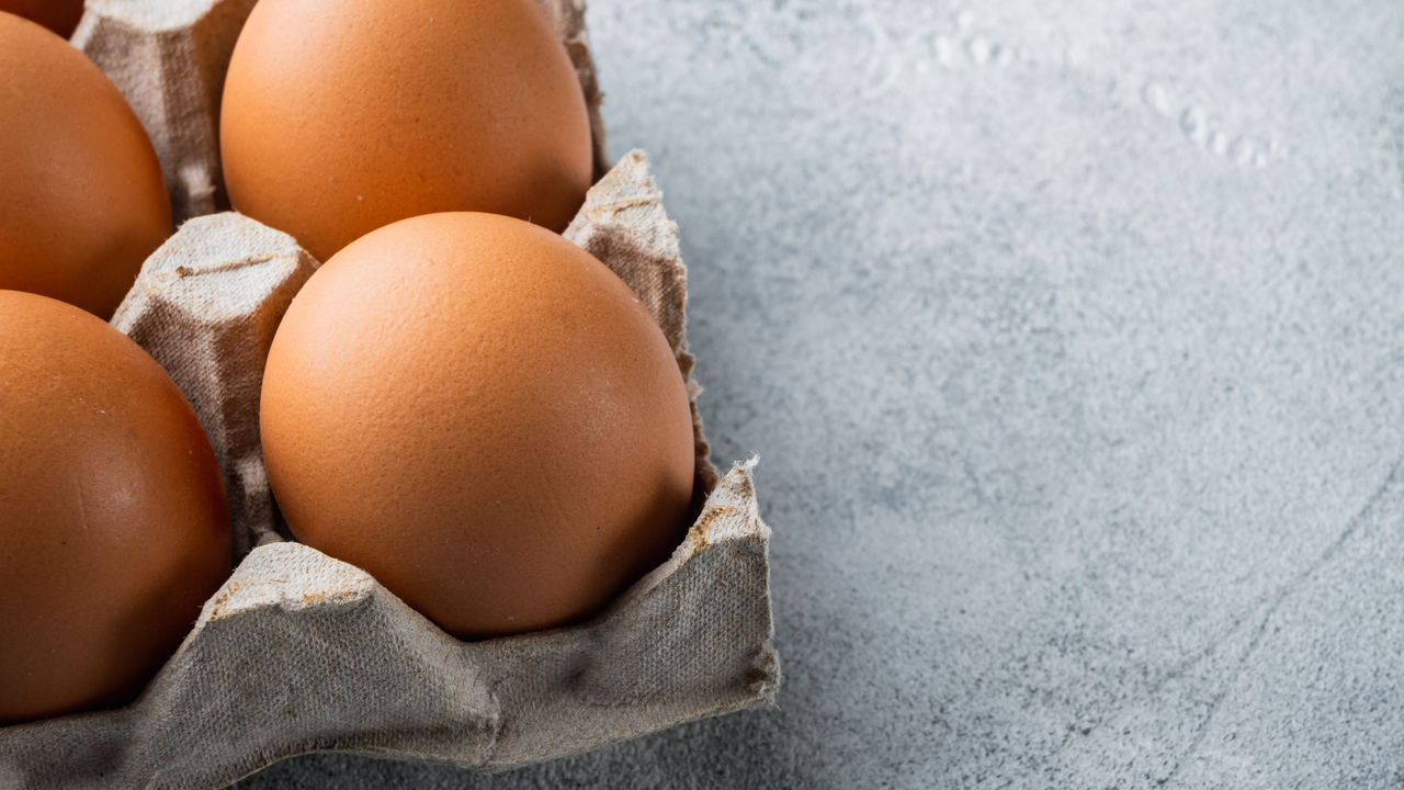 The salmonella warning is another headache for UK egg merchants