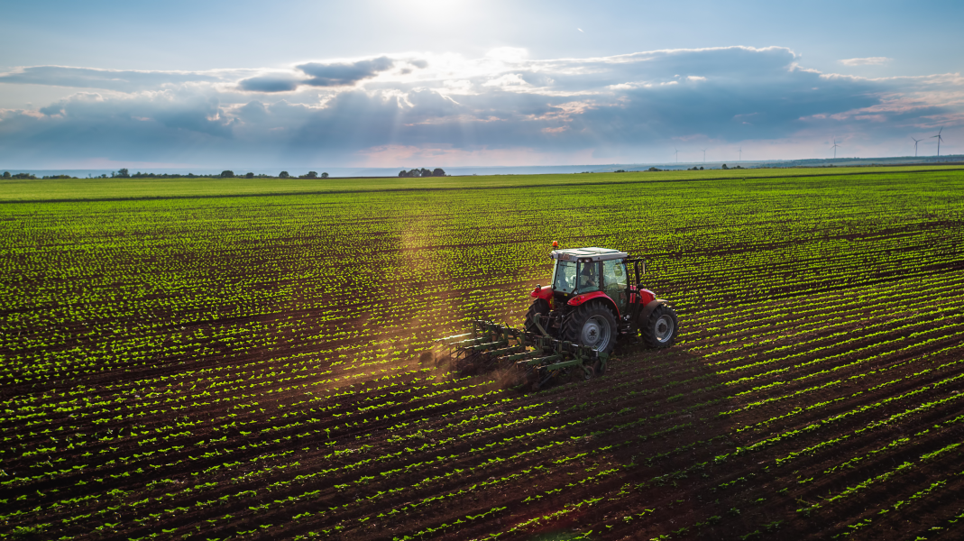 Is the UK really sleepwalking into a food supply crisis?