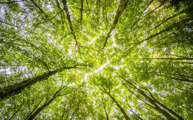 B Corp companies - how to balance ethical business with corporate success